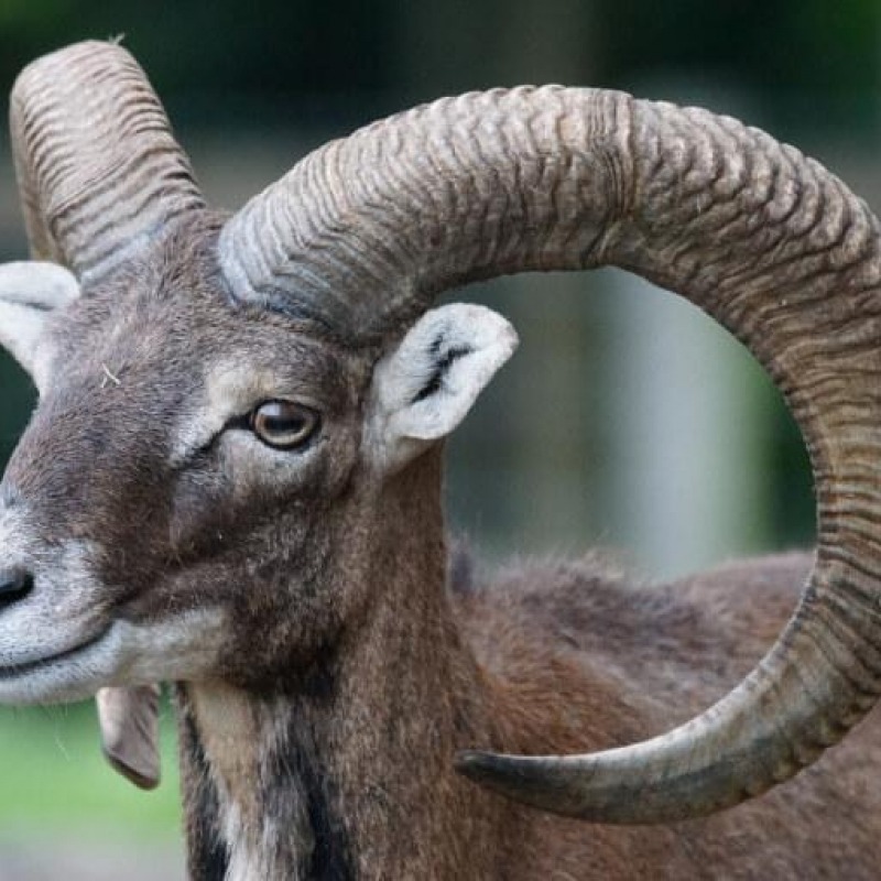 RAB Trek&Family „Capo Fronte“