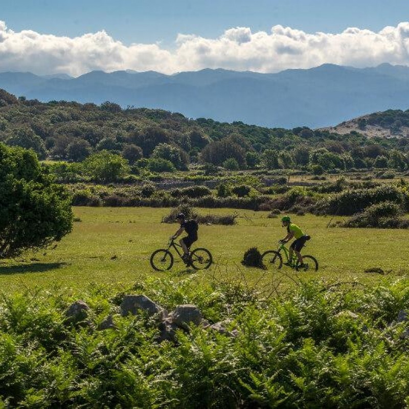 Supetarska Draga MTB „Frux“