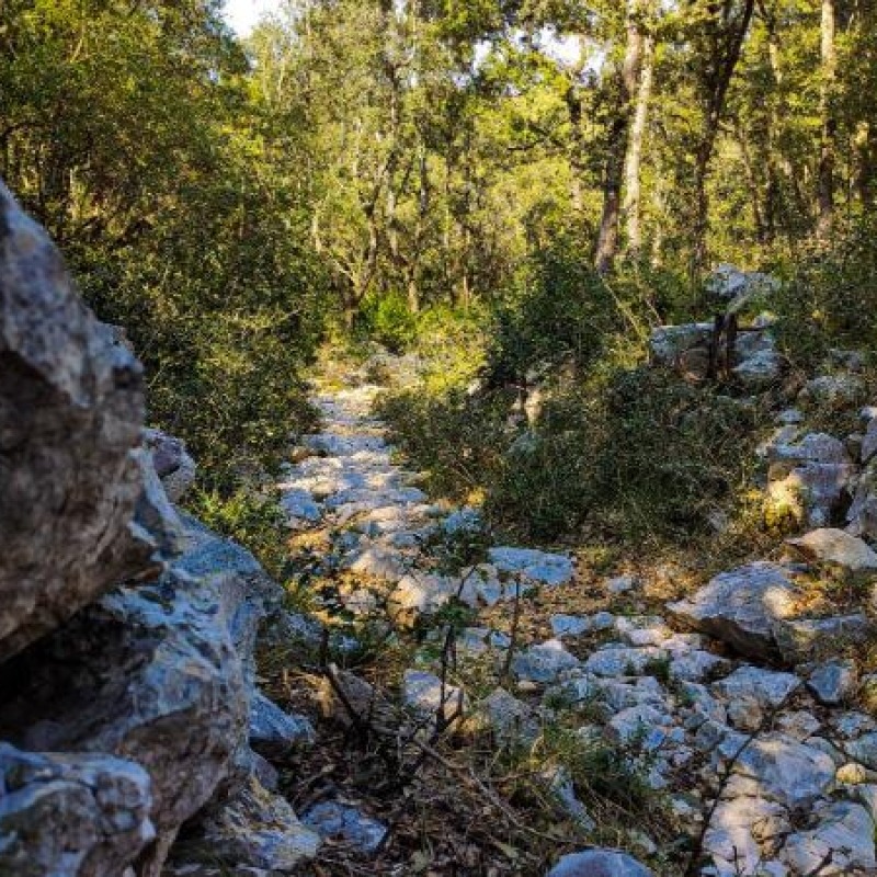 Rab MTB 1