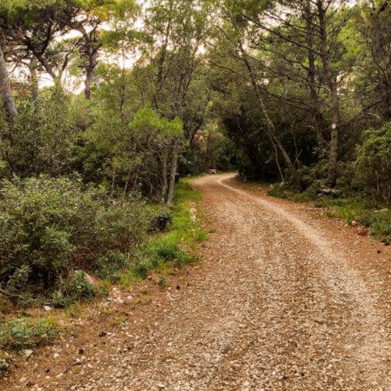 Rab MTB 1