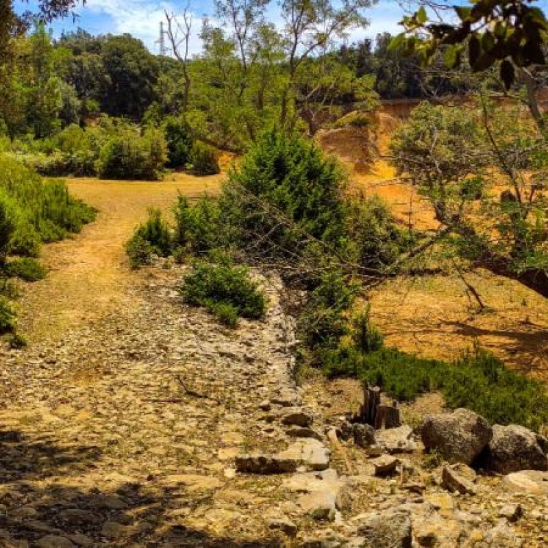 Lopar MTB 1