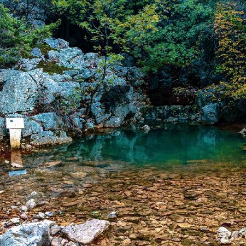 Draga, rapska pastirica