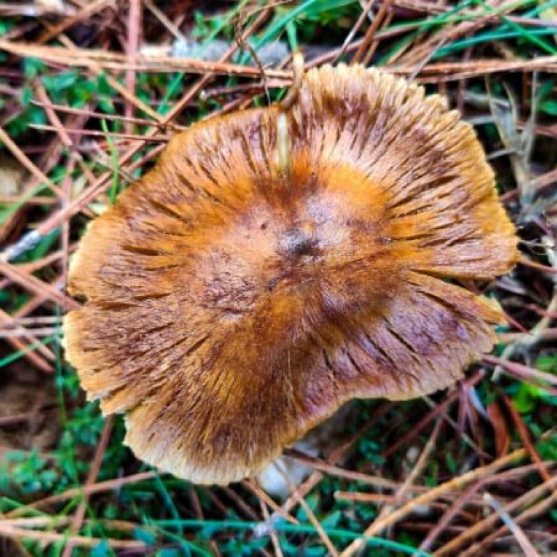 RAB Trek&Family - Capo Fronte