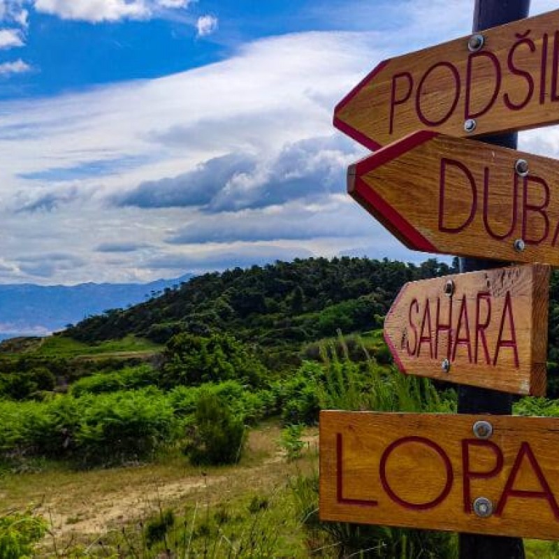 Gušć from Lopar