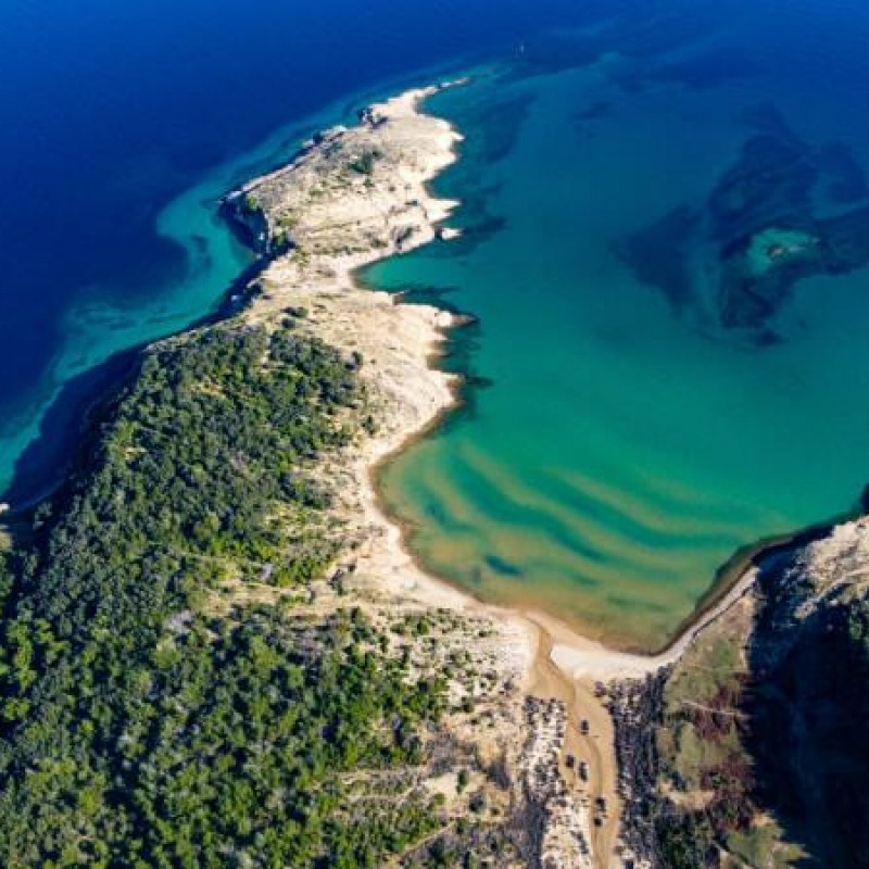 Gušć from Lopar
