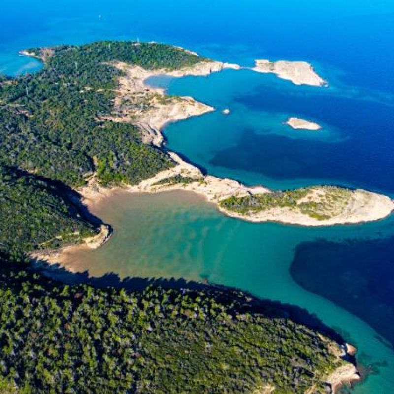 Gušć from Lopar