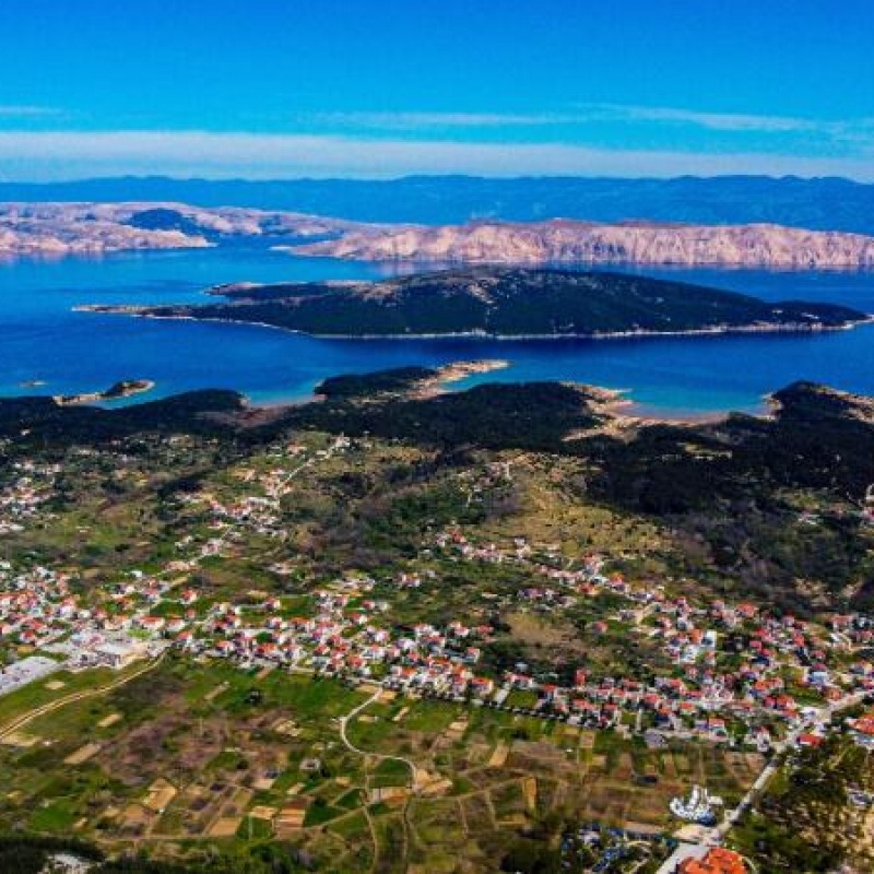 Gušć from Lopar