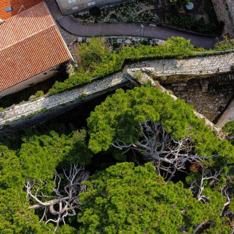 The Tower of St. Christopher