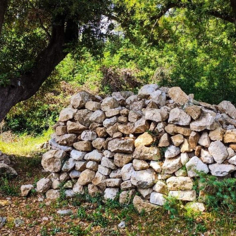 The remains of the Church of St. Cyprian