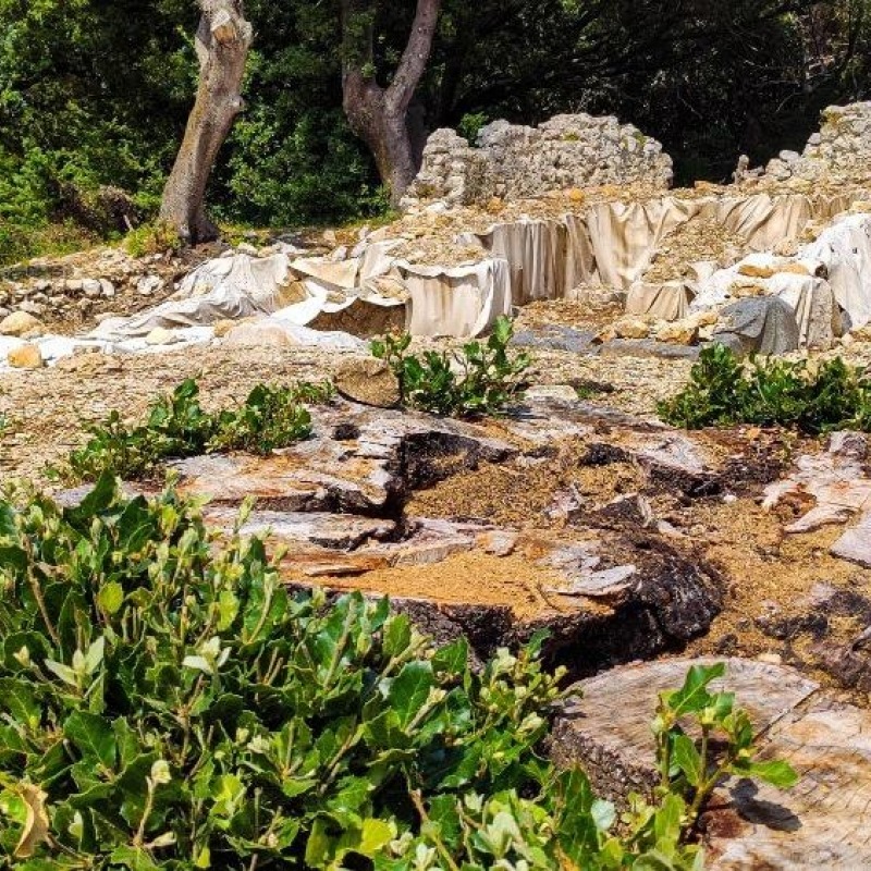 The remains of the Church of St. Cyprian