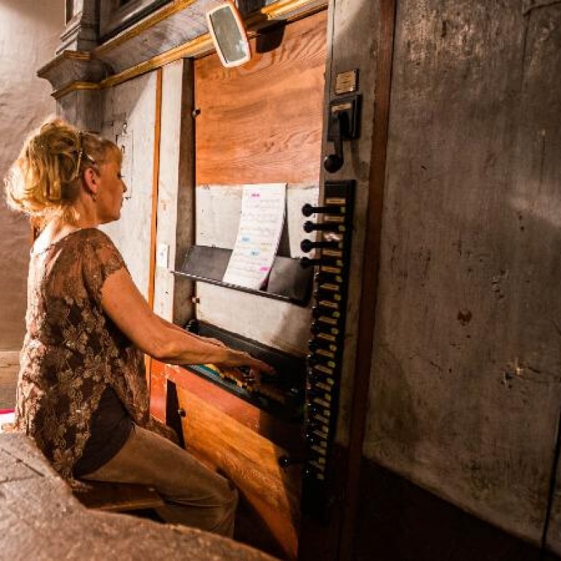 The Petar Nakić pipe organ festival