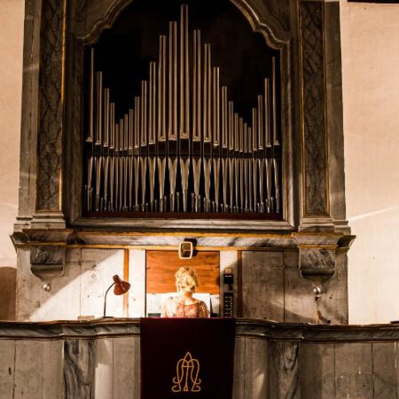 The Petar Nakić pipe organ festival
