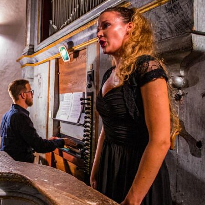 The Petar Nakić pipe organ festival