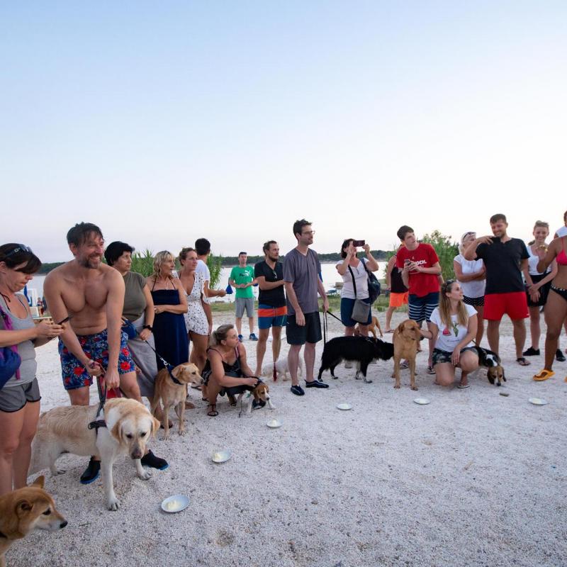 Plaža za pse