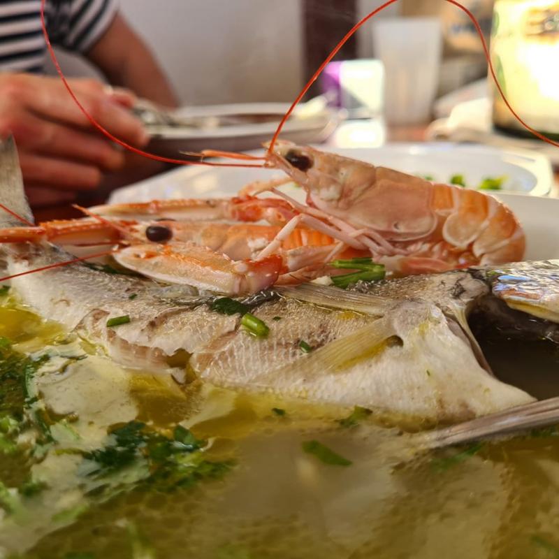 FISHING “KORDIKA”